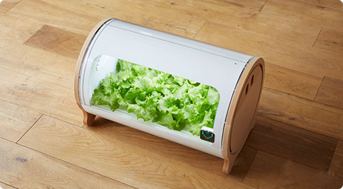 small led GROW LIGHT .jpg