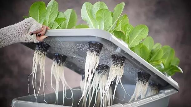 LED luxsky light.jpg