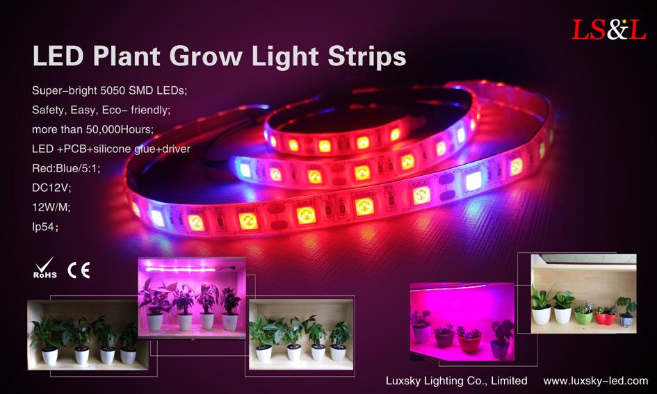 LED grow plant lights .jpg